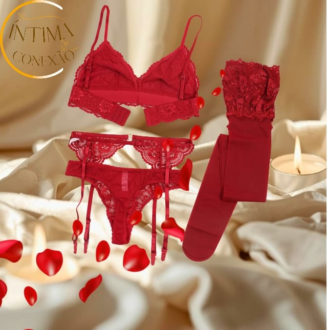 Lace Lingerie Set – Unlined Bra, Panty and Garter with Stockings | Moments of Seduction